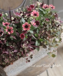 tef*tef*�󤻿��� 2017 * no.21 *���˥��˥������إ�͡١ߥ֥ꥭ