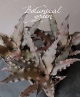 ����ץ��󥵥����إ֥饦���