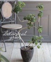 �ڴ��տ�ʪ�ۡ������ե�顡�إ�ʡ����١��ʤ��ꡡƫ��ȭ����