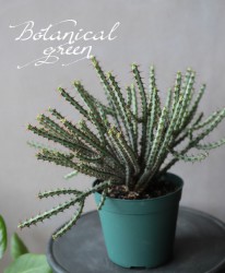 �桼�ե���ӥ����إ����륮�Ρ�����