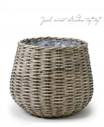 �ڻ��ߡۥ��졼�١����忧���Х롼��ݥåȥ��С���LL������