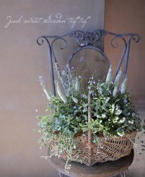 tef*tef*�󤻿��� 2017 * no.26 *���ۥ磻�ȥХ����å�