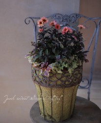 tef*tef*�󤻿��� 2017 * no.27 *�����ꥢ�������˥ƥ�