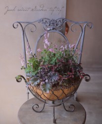 tef*tef*�󤻿��� 2017 * no.28 *��ǭ�ӥХ����å�