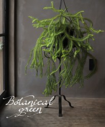 �ڴ��տ�ʪ�ۡ��ꥳ�ݥǥ����ࡦ�եڥ른�������إ˥塼���˥���