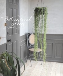 �ڴ��տ�ʪ�� �ۥ䡡�إ�ͥ��ꥹ�١�