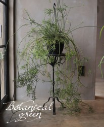 �ڴ��տ�ʪ�ۡ�����ȭ����ץ��ꥹ���إ��쥦������١������ܥƥ�