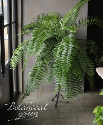 �ڴ��տ�ʪ �ۡ��ͥե���ԥ� �إ������륿�����١���������ޥ���