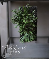 �ڴ��տ�ʪ�ۡ��Υ����Υ֡���ʿ��ҡ١��إ����դ�����������