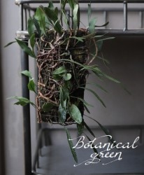 �ڴ��տ�ʪ�ۡ��إ��å����ҥȥĥХ����١��������ȡ١��إ����դ�����������