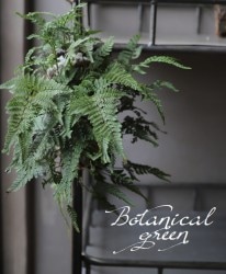 �ڴ��տ�ʪ�ۡ��в����Υ֡���ǭ�μꥷ���١��إ����դ���������������ŵ��ʪ