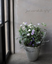 tef*tef*�󤻿�����2017 * no.36 *���إۥ磻�ȥ֥롼������󤻿�����