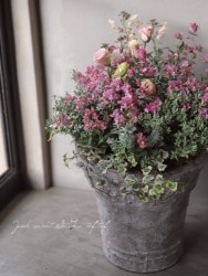 tef*tef*�󤻿�����2017 * no.37 *���إ��祳�졼�ȥԥ󥯤�����󤻿�����