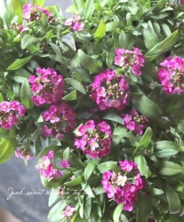 �������ȥ���å��ࡡ�إ�������