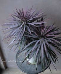 ��å����إǥ���ƥ������ʡ١����罼�³���