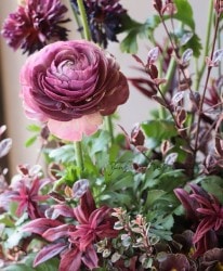 ڿĤ ʥ󥭥饹إȥ磻饤ȥǥ