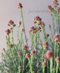 饤եإޡޥ졼ɡ١2018ǿʼ