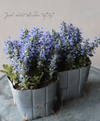 �����奬���إ��祳�졼�ȥ��åס�