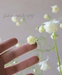 ���ء�Ȭ�ź餭���륪���ޥ����إۥ磻�ȡ١�G��