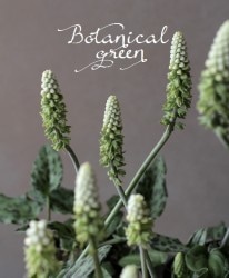 �ڴ��տ�ʪ�� �ɥ�ߥ��ץ������إޥ��顼����