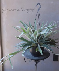 ����С��꡼�ա����������إ����������١إ٥������١����տ�ʪ�����ʼ