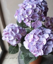 ����ƥ��������۲֡��ذ�����ɱ�١��ѡ��ץ�ڲָ����20%off��