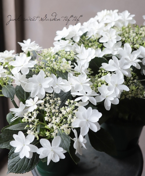 【完売】アルファベット イニシャル キャンドル 紫陽花 あじさい ウエディング 完売】アルファベット イニシャル キャンドル 紫陽花 あじさい