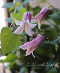 ����ޥ������ƥ����󥷥��ϡ��ض׻ҡ١�