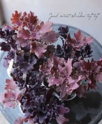 ܷϥꥦإ֥饦꡼ߥ֥١ͣɣؿ