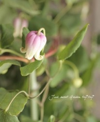 �䷿����ޥ�������������ʡ��إС��������顼��