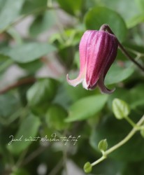 �������ʼ�䷿����ޥ������إƥ����󥷥��ϡ١���å�