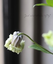 �������ʼ�䷿����ޥ�������������ʷϡ��ص��ؿͤΤ����ʤߡ�