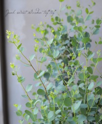 �桼���ꡡ�إǥ����ڥ󥹡�