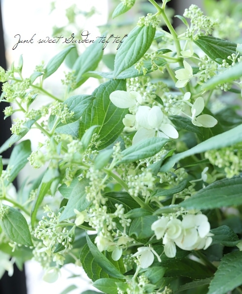 緑 紫 イザナギ＆イザナミ CX以下 3コン 33種99枚 アメノトリフネ LIZARDON DX | CATALOG | nanoblock® | ブランド一覧 | Kawada