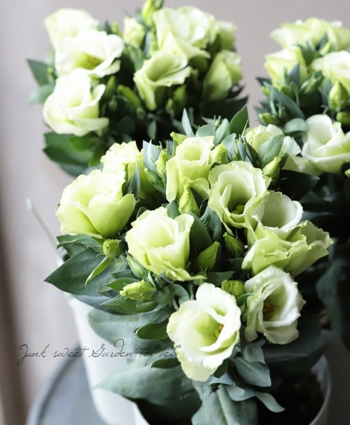 トルコギキョウ 『グリーン』 | すべての商品 | | Junk sweet Garden