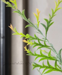  إ饦ץƥ١