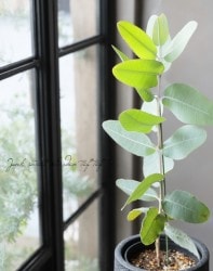 �桼���ꡡ�إץ쥦������ѡ�