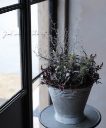 tef*tef*�󤻿��� 2018 * no.8 *��BLACK��PURPLE