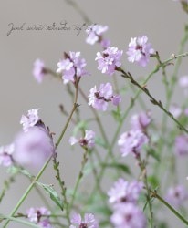 �ɺ���Ƽ�եС��٥ʡ��إХ�ץȥ�١�