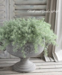 �դ�դ�����������إ��åȥ󥭥��ǥ���