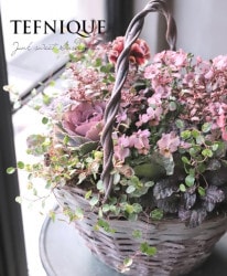 ǥѡ塡إƥԡ ݥꥸʥ