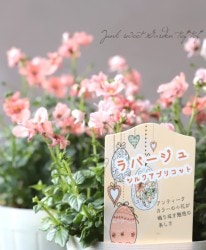 ǥѡ إ륯ץꥳåȡ  ݥꥸʥ