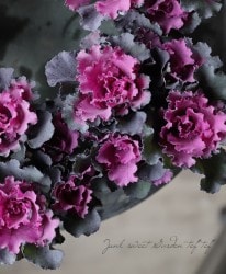 ���ղ�ð�����å���󥷥꡼�����إե�����Υ����