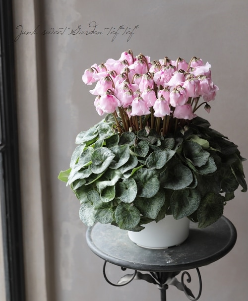 フローラルエングレービングの 銀製プランター フローラルエングレー