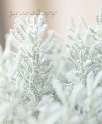 ����ȥ�ʡإ��åȥ��٥������