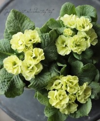 Ȭ�ź餭�ץ��顡�غڡ�������