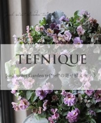-TEFNIQUE-�ڲ��ġ�ȭ+�ڡ�  2018 * no.34 * �󤻿������å�