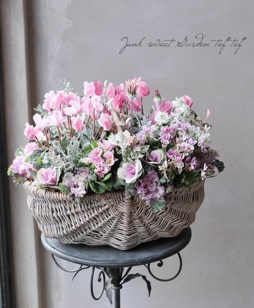 寄植え 寄せ植え | CAINZ DIY Square