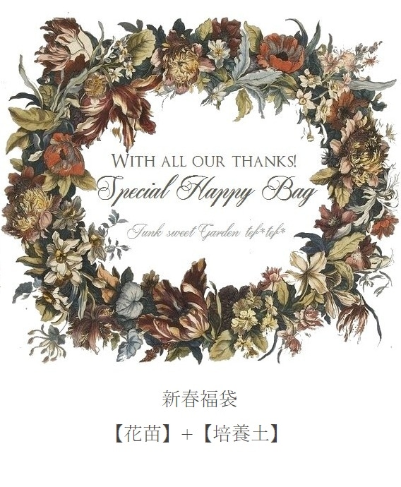 �ڽ�2026�ۿ��ղ���ʡ�ޡ�����10��+���ޤ�3�Ĥι��13�ġ�����������