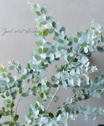 ���եѡ��륢���������إݥ���꡼�ե��ꥢ��